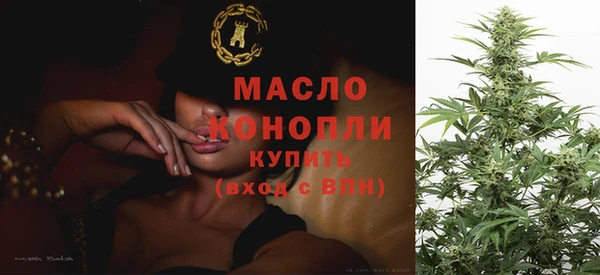 PSILOCYBIN Ельня