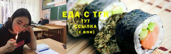 СК Елабуга