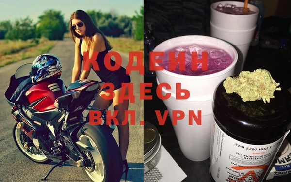 PSILOCYBIN Ельня