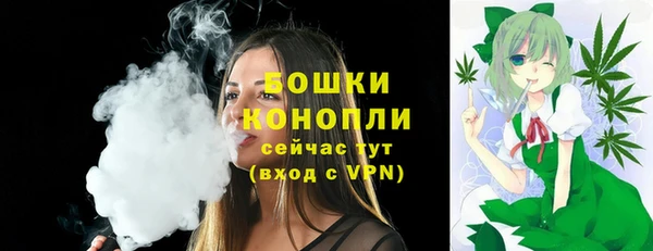 PSILOCYBIN Ельня