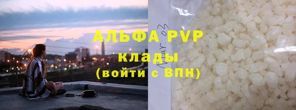 СК Елабуга