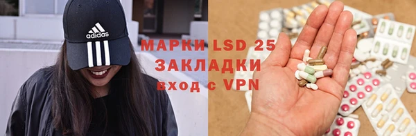 PSILOCYBIN Ельня