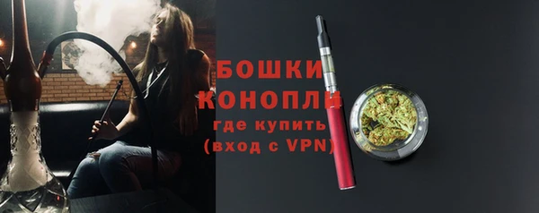 PSILOCYBIN Ельня