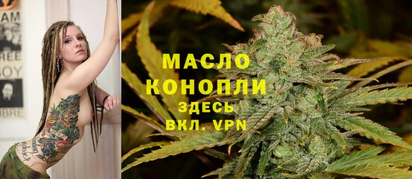PSILOCYBIN Ельня