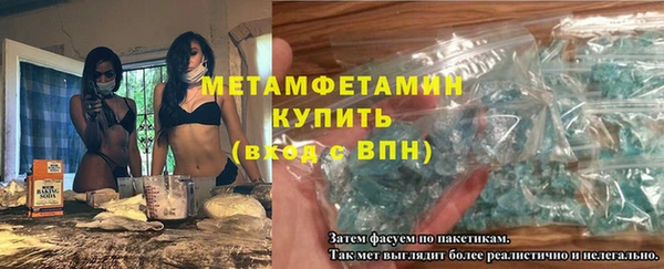 PSILOCYBIN Ельня