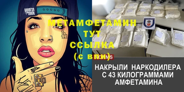 PSILOCYBIN Ельня